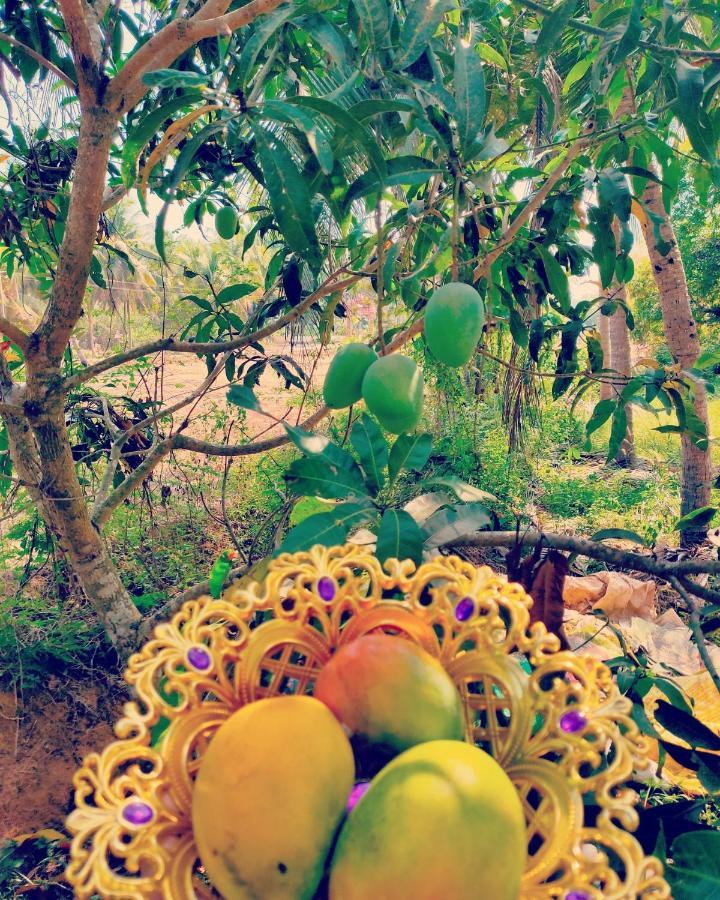 The Big Pineapple Estate Villa Udupi Exteriér fotografie