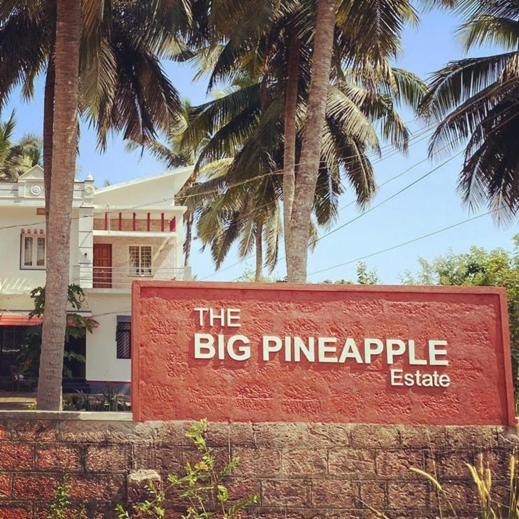 The Big Pineapple Estate Villa Udupi Exteriér fotografie